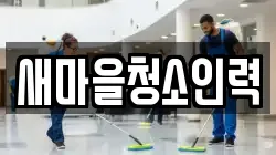 새마을청소인력