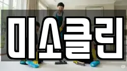 미소클린
