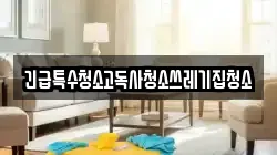 긴급특수청소고독사청소쓰레기집청소