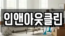 인앤아웃클린