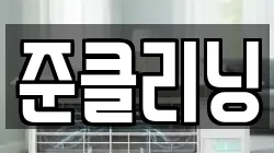 준클리닝