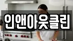 인앤아웃클린