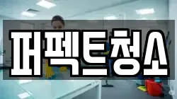 퍼펙트청소