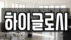 하이글로시
