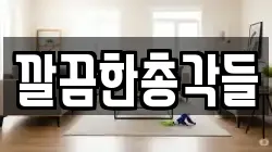 깔끔한총각들