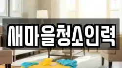새마을청소인력