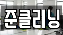 준클리닝