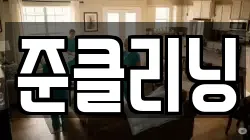 준클리닝