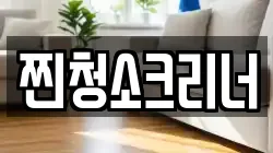 찐청소크리너