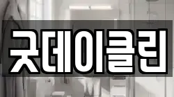 굿데이클린