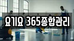 요기요 365종합관리