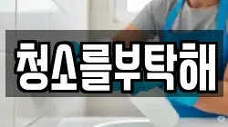청소를부탁해