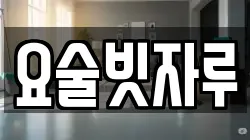 충청북도 청주시 서원구 개신동 청소,입주청소,사무실청소,에어컨청소,특수청소,상가청소,거주청소,유품정리