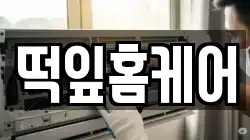 떡잎홈케어