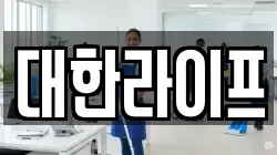 대한라이프
