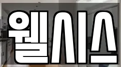 웰시스