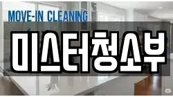 미스터청소부