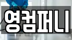 영컴퍼니