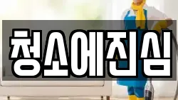 청소에진심