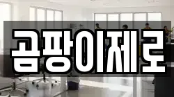 곰팡이제로