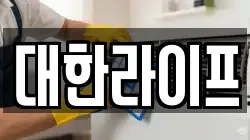 대한라이프