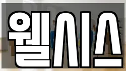 웰시스