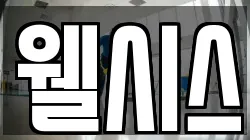 웰시스