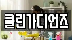 클린가디언즈