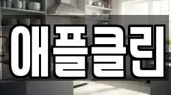 애플클린