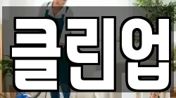 클린업