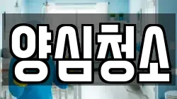 양심청소