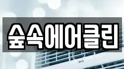 숲속에어클린