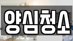 양심청소