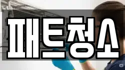 패트청소