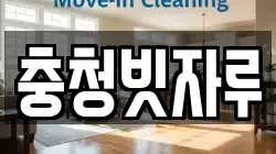 충청빗자루