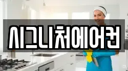 시그니처에어컨