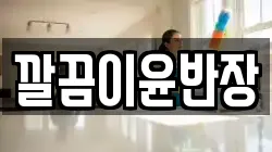 깔끔이윤반장