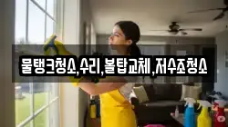충청북도 충주시 목벌동 청소,입주청소,사무실청소,에어컨청소,특수청소,상가청소,거주청소,유품정리