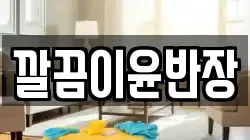 깔끔이윤반장
