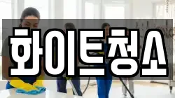 화이트청소